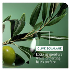 Biolage Strength Recovery Repairing Spray - Leave-In Treatment, Strengthens & Repairs Damaged Hair, Heat Protectant, Detangling Leave-In Treatment, With Olive Squalane & Vegan Proteins