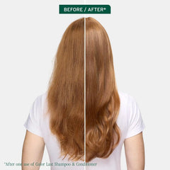 Biolage Color Last Shampoo - For Color-Treated Hair, Gently Cleanses, Nourishes, Strengthens, Hydrates and Adds Shine, Soybean Oil & Stearic Acid, Paraben & Mineral Oil-Free, Vegan