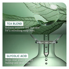 Biolage Scalp Sync Purifying Concentrate - For All Scalp Types, Exfoliating & Clarifying Treatment, Removes Buildup, Refreshing & Reinvigorating, Fermented Tea Blend & Glycolic Acid