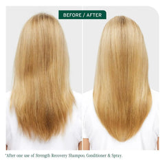 Biolage Strength Recovery Shampoo & Conditioner Set - Gently Cleanses & Reduces Breakage, For All Damaged & Sensitized Hair Types, Vegan and Cruelty-Free, 13.5 Fl Oz